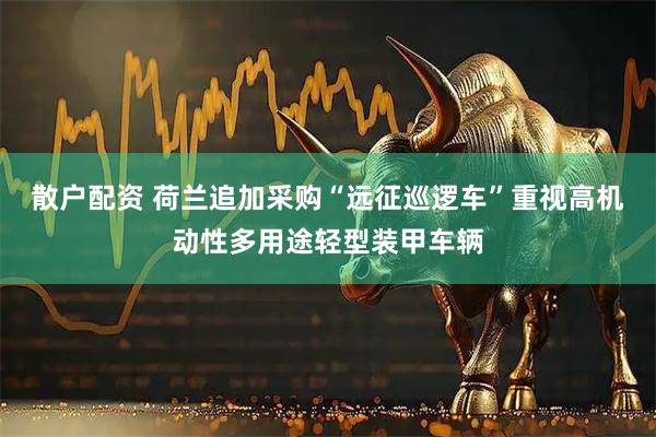 散户配资 荷兰追加采购“远征巡逻车”重视高机动性多用途轻型装甲车辆
